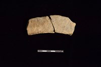 連杯形器藏品圖，第1張